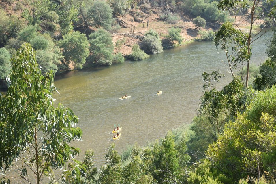 Coimbra: Mondego River Kayaking Tour - Additional Details