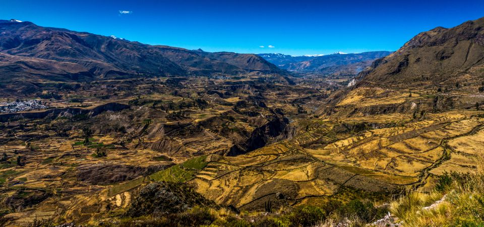 Colca Canyon: 2-Day Tour From Arequipa to Puno - Overnight Stay in Chivay