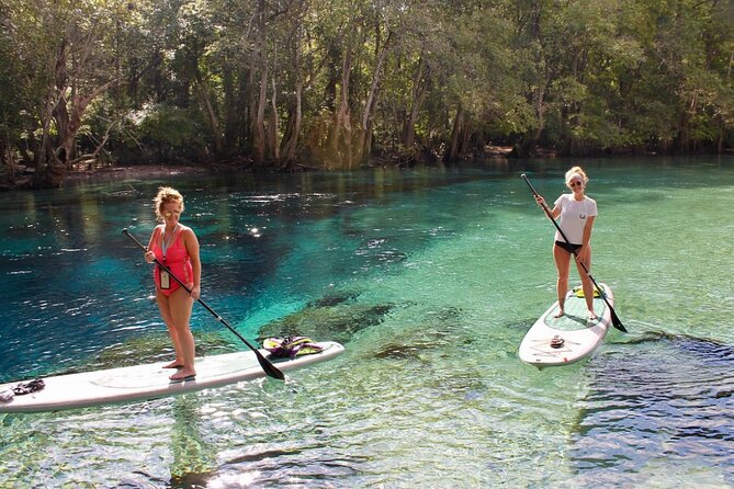 Cold Spring Kayak or Canoe Eco Tour With Snorkeling, Swimming (Mar ) - Booking Requirements