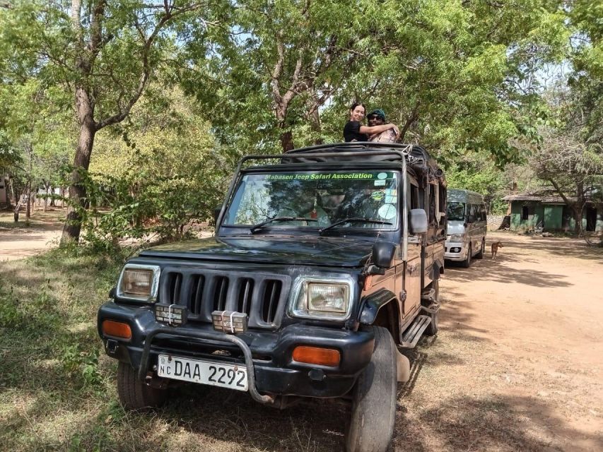 Colombo: Sigiriya Rock / Dambulla & Minneriya Park Safari - Cultural Exploration
