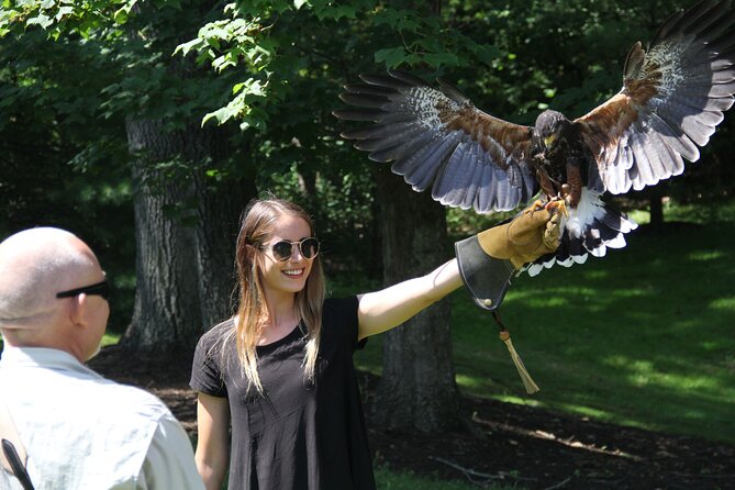 Colorado Springs Hands-On Falconry Class and Demonstration - Accessibility Information