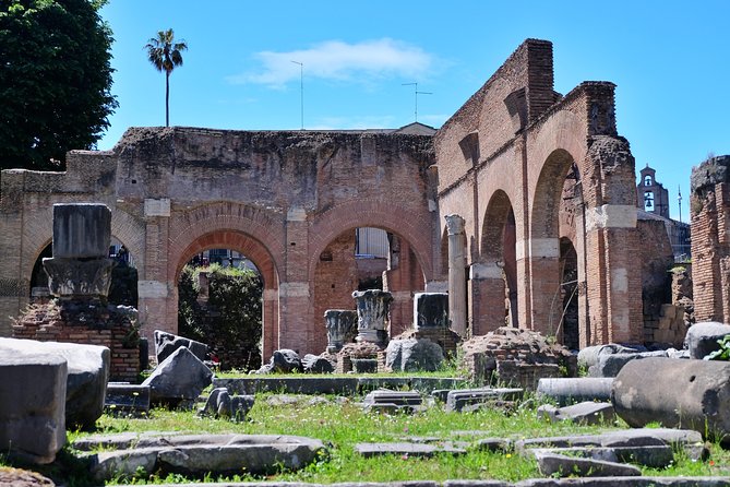 Colosseum Restricted Gladiators Arena Express Guided Tour - Restricted Areas Exploration