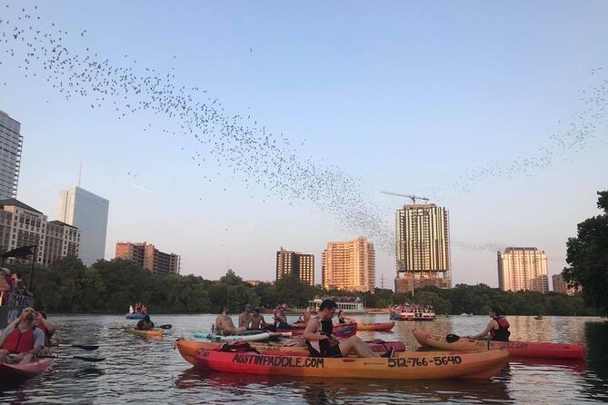 Congress Avenue Bat Bridge Kayak Tour in Austin - Weather-Related Cancellations