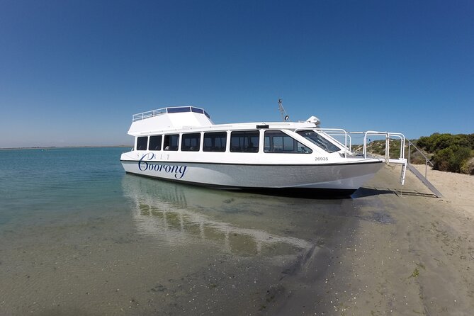 Coorong 6-Hour Adventure Cruise - General Information