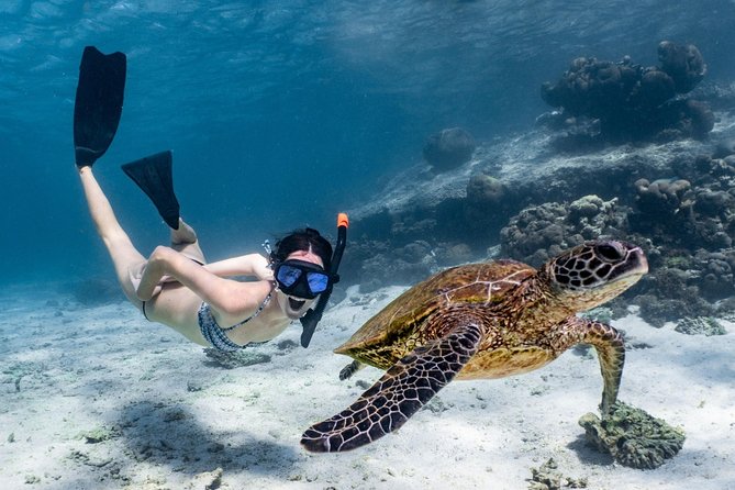 Coral Bay 3-Hour Turtle Ecotour - Last Words