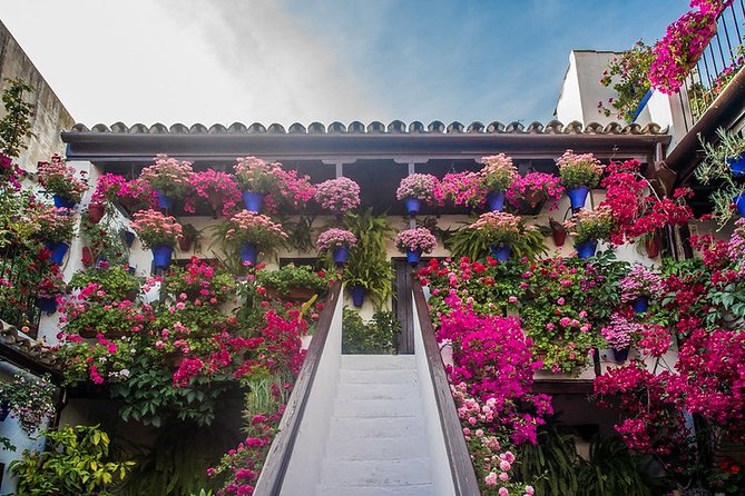 Cordoba Guided Visit to the Popular Patios - Additional Tips and Information