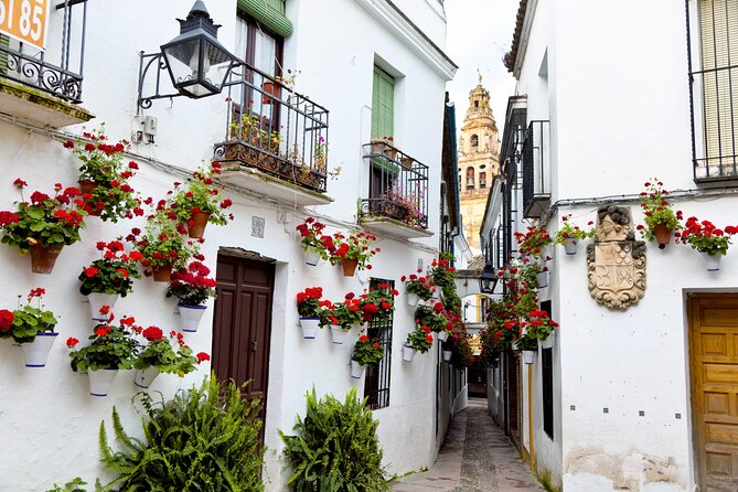 Cordoba Mosque-Cathedral & City Private Tour - Booking Information & Tips