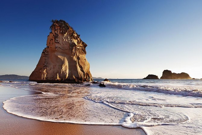 Coromandel Peninsula Highlights Small Group Tour From Auckland - Customizable Add-Ons