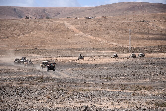 Corralejo: Dune Buggy Tour (Mar ) - Traveler Resources