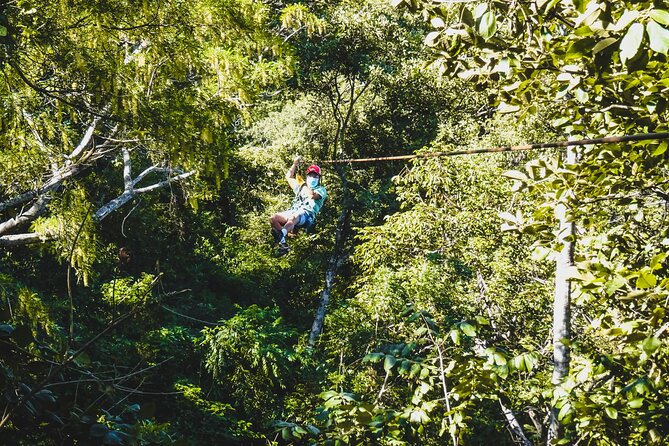 Costa Rica Monkey Jungle Zipline From Tamarindo - Value for Money