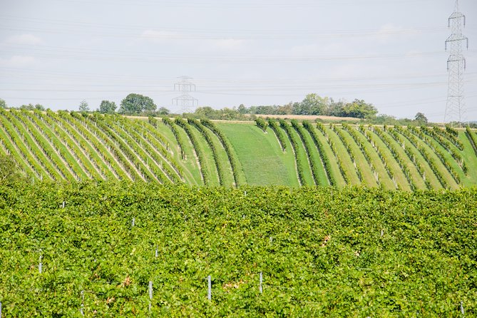 Countryside Half Day Wine Tour Near Vienna - Cancellation Policy