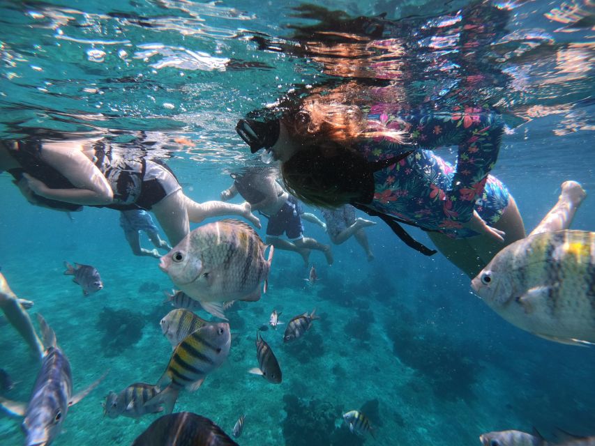 Cozumel: Private VIP Glass Bottom-Boat and Snorkeling Tour - Payment and Cancellation Policy
