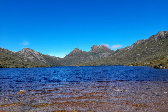 Cradle Mountain : Hobart to Cradle Active Day Trip - Pricing Information