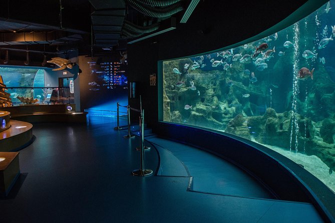 CRETAquarium Entrance Ticket in Crete - Additional Information