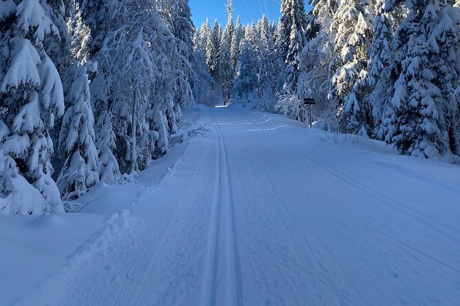 Cross-Country Skiing With Fireside “Kos” - Maximizing Your Fireside “Kos” Experience