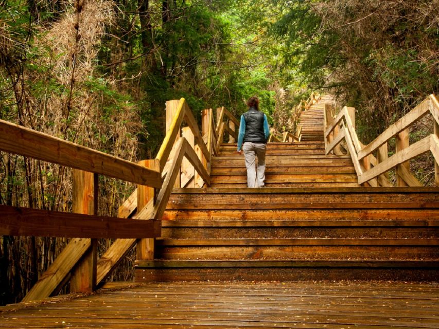 Crossing to Puerto Blest and Cascada De Los Cántaros - Background Information