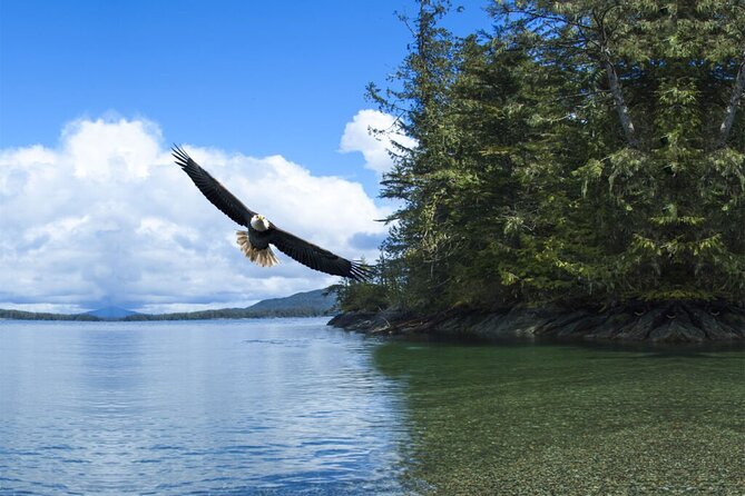 Customizable Private Tour in Ketchikan With Pick up - Booking and Additional Information
