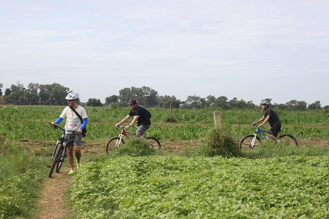 Cycling Around the Mekong Island and Lunch With Locals - Scenic Views and Landmarks