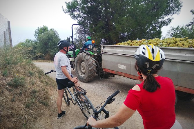 Cycling for Vino Bike Ride From Sitges, Barcelona With Hotel Pick Up. - Booking Confirmation and Accessibility