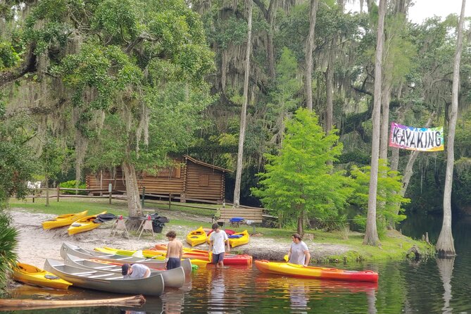 Cypress Forest Guided Kayak Nature Eco-Tour - Common questions