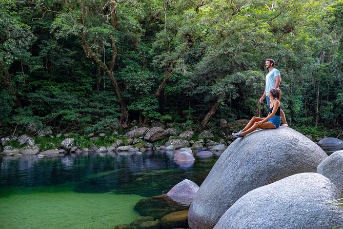 Daintree Rainforest and Mossman Gorge - Full or Half Day Tour - Traveler Feedback