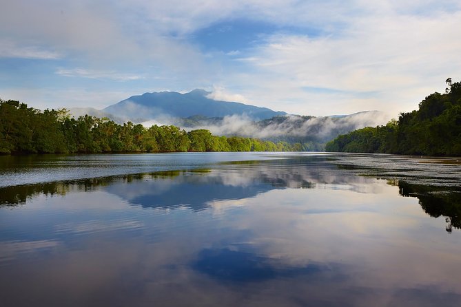 Daintree River Dawn Cruise With the Daintree Boatman - End Point