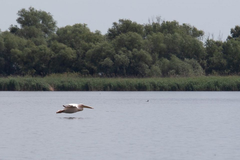 Danube Delta - 2-Day Tour From Bucharest - Booking Process