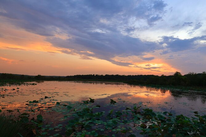 Darwin: Evening Tour to Fogg Dam Wetlands and Humpty Doo Hotel - Booking Details