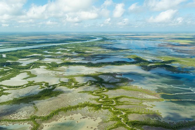 Darwin to Kakadu Day Trip by Air Including Yellow Water Cruise - Customer Feedback and Reviews