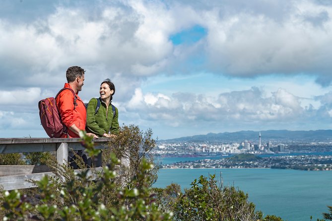 Day Sea Kayak Tour Rangitoto Island - Visitor Experiences