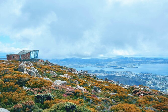 Day Tour in Mt. Field, Mt. Wellington, Bonorong Wildlife Sanctuary and Richmond - Mt. Field Hiking Experience