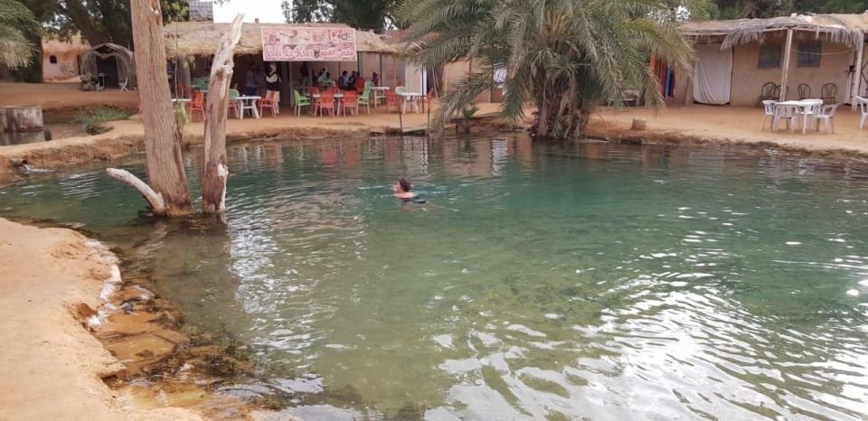 Day Trip to Desert to Ksar Ghilane From Djerba or Zarzis - Inclusions