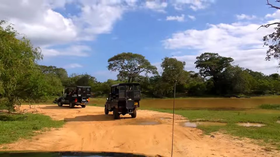 Day With Elephants at Udawalawe National Park & Transit Camp - Participant Information