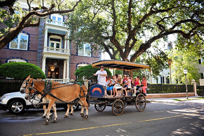 Daytime Horse-Drawn Carriage Sightseeing Tour of Historic Charleston - Carriage Ride Experience