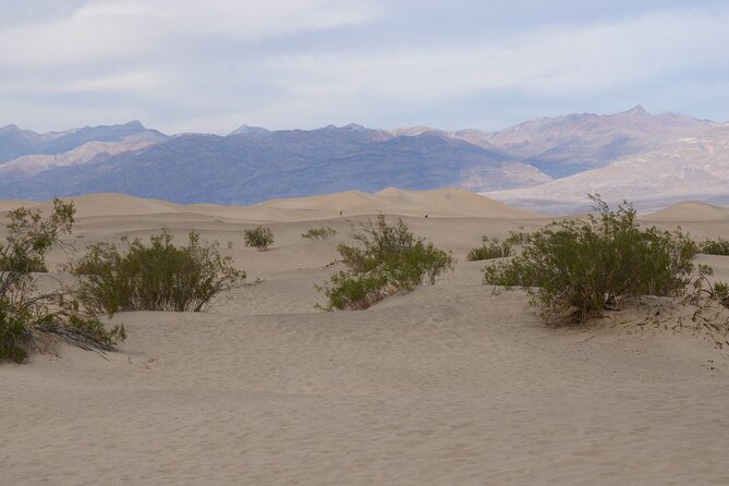 Death Valley Small Group Day Adventure From Las Vegas - Meal and Refreshment Options