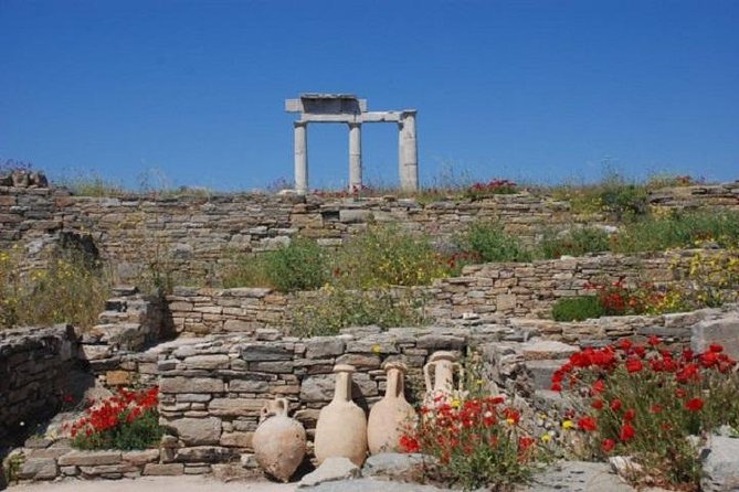 Delos Tour From Mykonos - Common questions