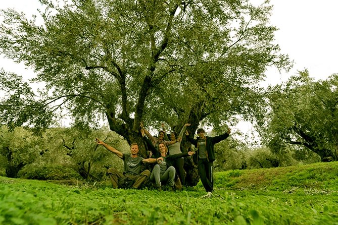 DELPHI Private Day Tour PLUS Hiking, BIking or Olive Tasting - Adventure Options Available