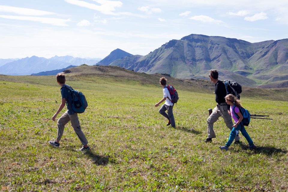 Denali: 5-Hour Guided Wilderness Hiking Tour - Value for Money and Positive Feedback