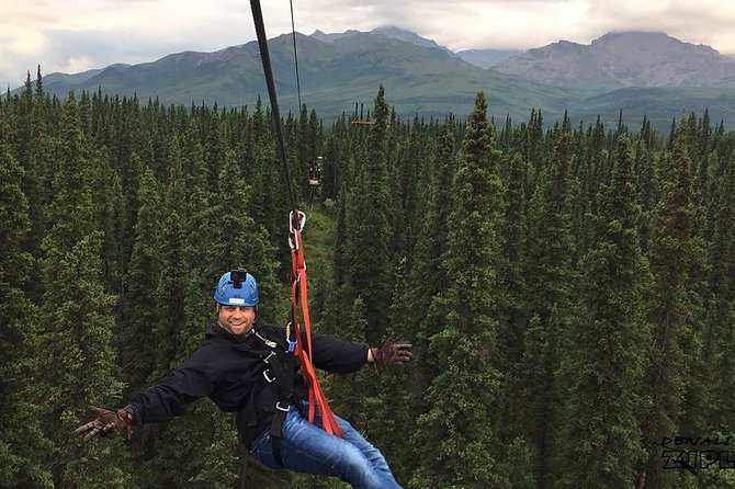 Denali Park Zipline Adventure - Cancellation Policy and Reviews
