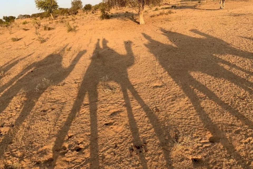 Desert Camel Safari Day Tour In Jodhpur - Osian and Sachiya Mata Temple