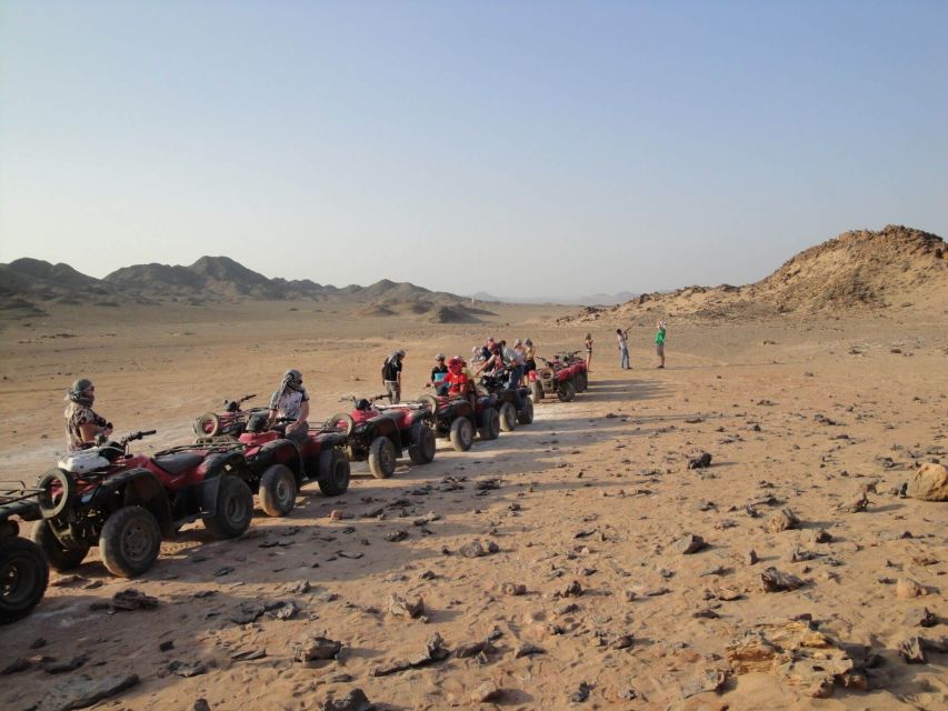 Desert Sunset Quad Biking Safari, Dinner, Camel Ride - Review Ratings