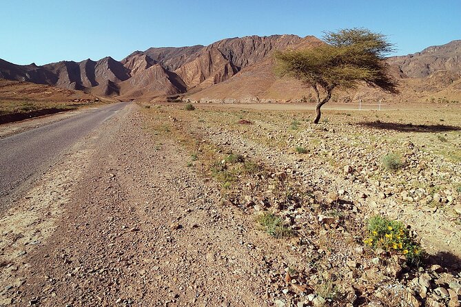 Desert Trips From Marrakech to Merzouga Sand Dunes and Camel Ride 3 Days - Last Words