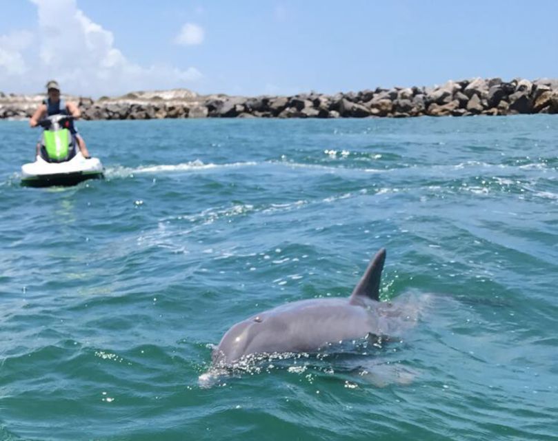 Destin: Crab Island Dolphin Watching Jet Ski Tour - Common questions
