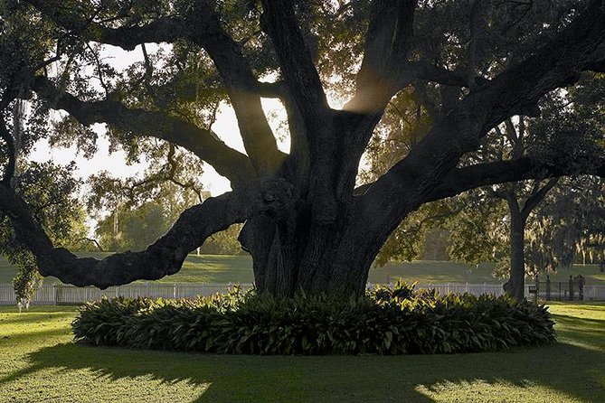 Destrehan Plantation Tour - General Information