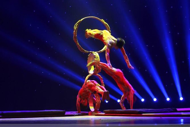 Din Tai Fung Dinner Experience and Acrobatics Show in Shanghai - Customer Reviews