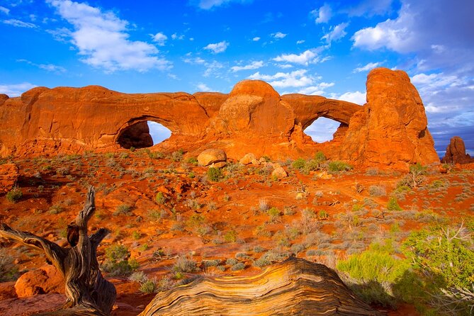 Discover Moab in A Day: Arches, Canyonlands, Dead Horse Pt - Visitor Satisfaction and Convenience