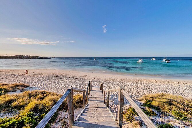 Discover Rottnest With Ferry & Bus Tour - Visitor Recommendations