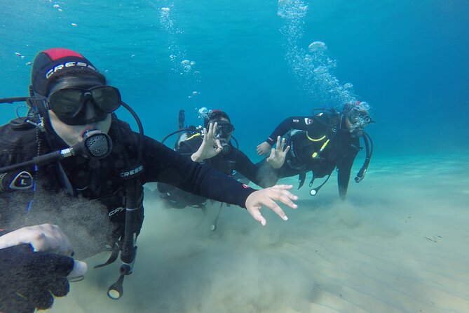 Discover Scuba Diving, Beginners Experience - Customer Satisfaction and Feedback