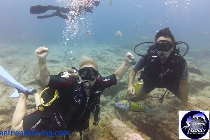 Discover Scuba Diving, Free Pictures Included - Cancellation Policy