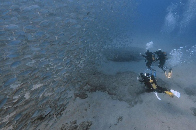 Discover Scuba Diving in Puerto De Mogan - Reviews and Feedback
